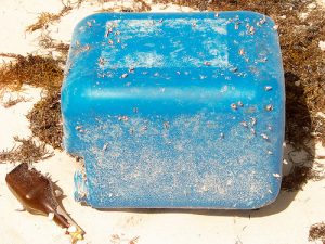 Pollution plastique mer Pollution plastique mer