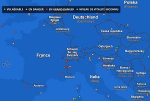 langues en danger Google Carte des langues en danger en Europe
