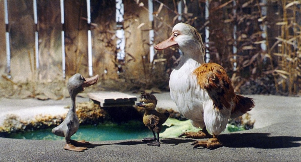 Dossier pédagogique sur le Vilain petit canard