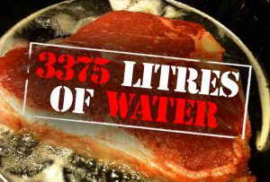 steak boeuf 250g journée de l'eau 3375l d'eau nécessaires pour produire une viande de boeuf de 250g