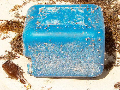Alerte à la pollution des mers, suffoquées de plastiques