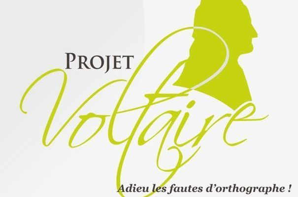 « L’orthographe ne fait plus partie des priorités de l’Education nationale »