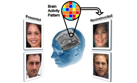 Un scanner cérébral peut reconstituer les visages des personnes auxquelles vous pensez