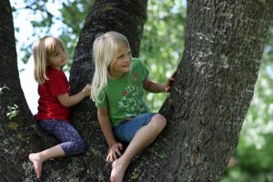 deux enfants arbre enfants sur un arbre