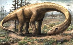 _Dinosaure_Titanosaure_Dreadnoughtus_schrani © Jennifer Hall