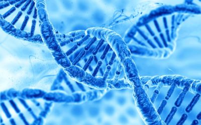 Etude CEDRE : les performances en sciences des élèves de fin de troisième en baisse