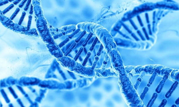 L’ADN de toutes les espèces du monde bientôt congelé dans une banque génétique ?
