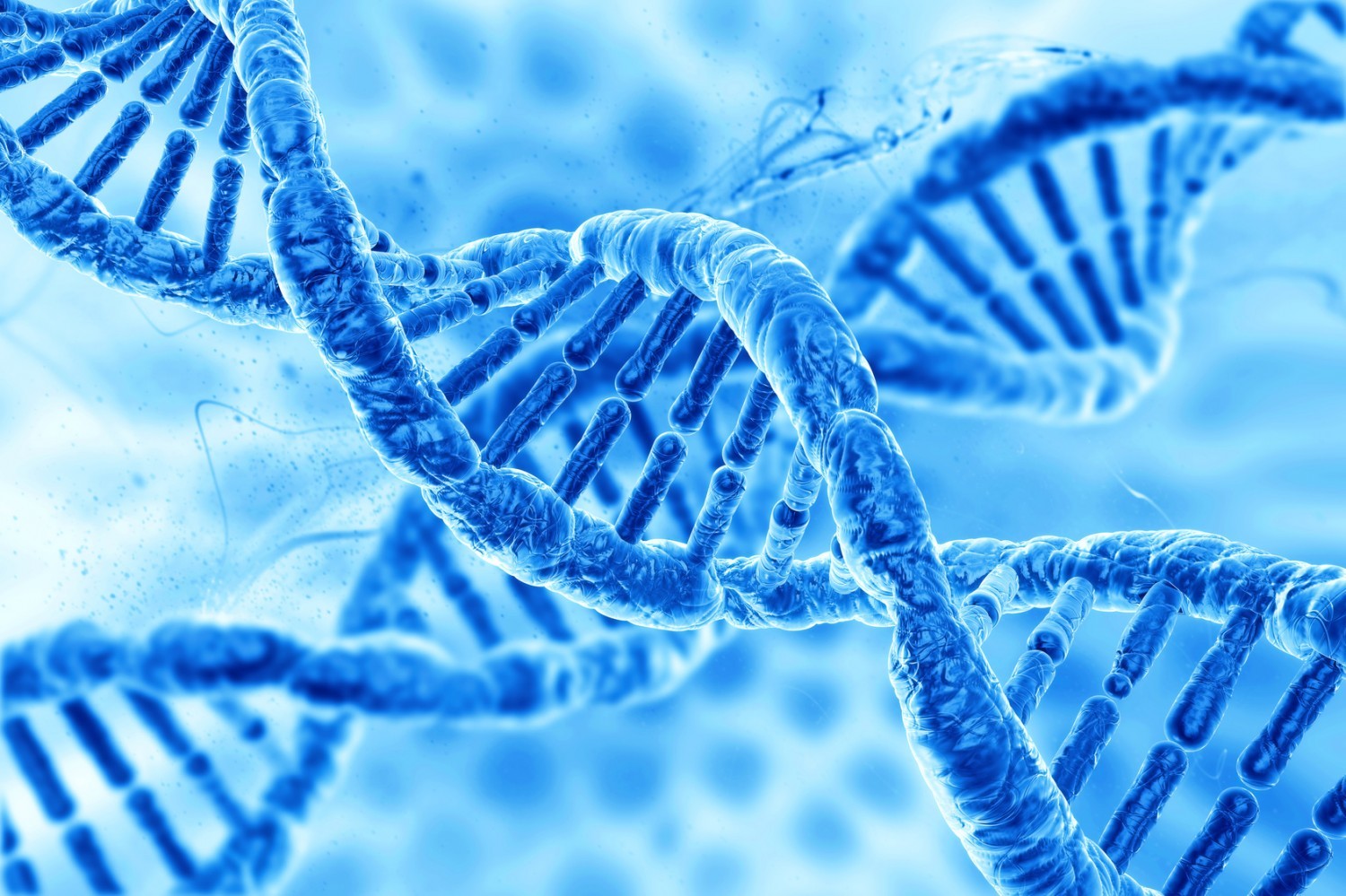 L’ADN de toutes les espèces du monde bientôt congelé dans une banque génétique ?
