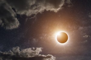 © sdecoret – Fotolia