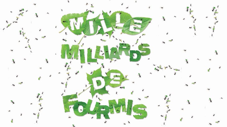 Les fourmis : une exposition pédagogique « vivante » à l’Espace des sciences de Rennes