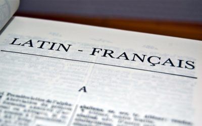 Français et culture antique : une option à suivre en 6e dès septembre