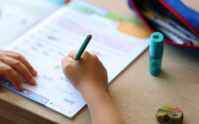 Cahiers de vacances : qu&rsquo;en pensent les profs ?