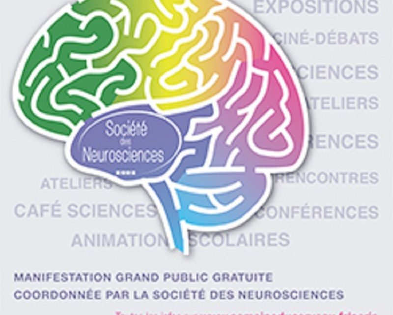 C’est la Semaine du Cerveau !