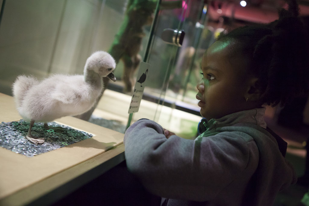 Bebes Animaux L Expo Pedagogique Et Ludique Des Vacances Vousnousils