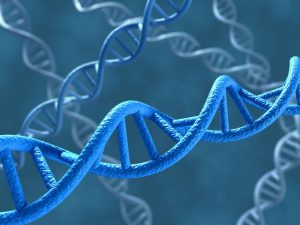 DNA norman blue - fotolia.com