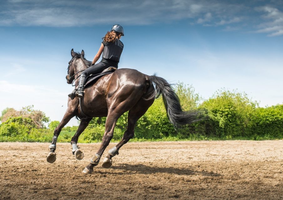 Pour intégrer un sport-études, un bon dossier scolaire est indispensable