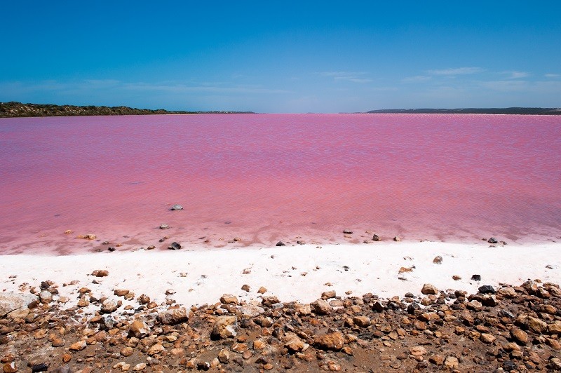 Lacs roses : beautés naturelles… ou non