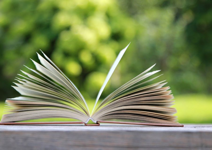 Les lectures des profs pour les vacances