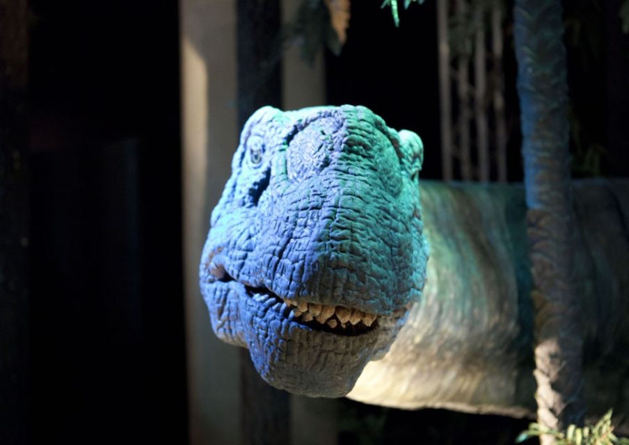 Expo : rencontrez des dinosaures pendant les vacances !