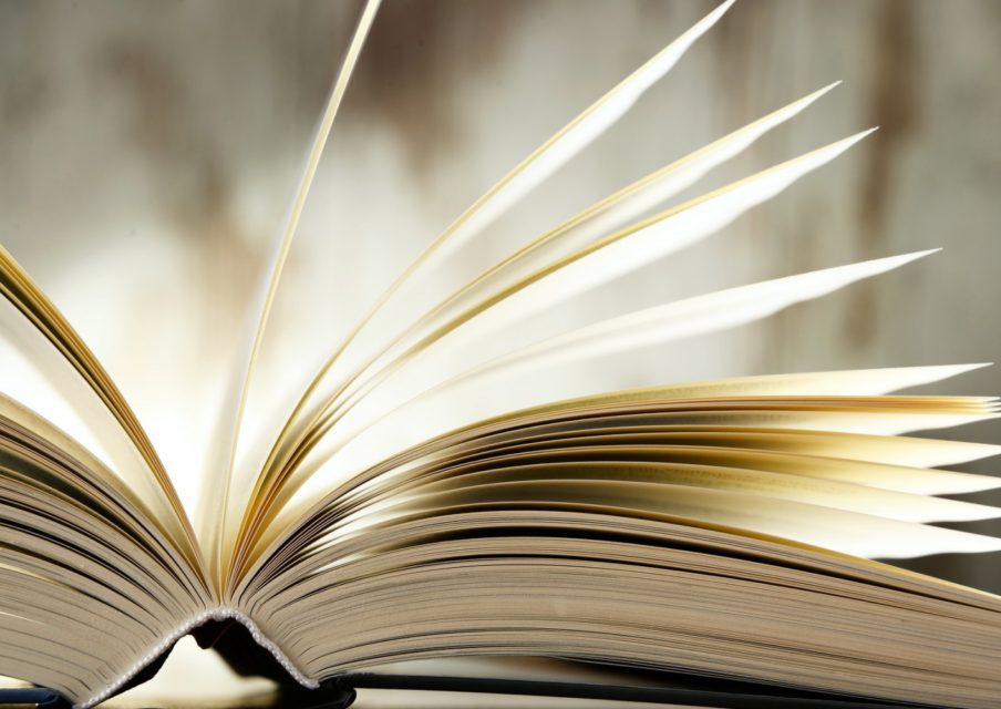 Prix Goncourt 2016 : la première sélection de l’Académie