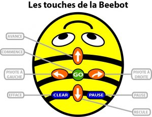 Les touches de Bee-Bot