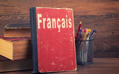 Grammaire : 100 idées pour l’enseigner autrement