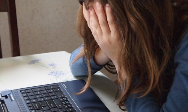 Des « ambassadeurs du respect » contre le cyberharcèlement