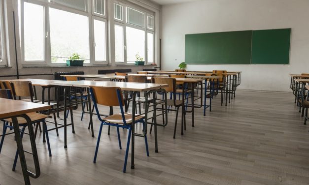 CRPE 2019 : près de 900 postes non pourvus (Snuipp-FSU)