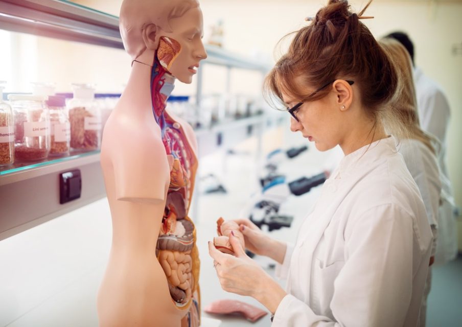 La réforme du lycée inquiète l’Académie de Médecine