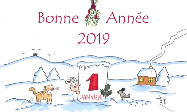 Bonne année 2019 !