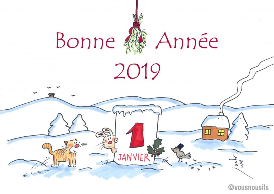 Bonne année 2019 !