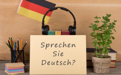 Enseignement de l’allemand : « l’éducation nationale ne promeut pas cette langue »