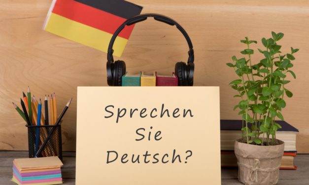 Enseignement de l’allemand : « l’éducation nationale ne promeut pas cette langue »