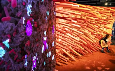 Exposition Microbiote : découvrez le petit monde qui se cache dans vos intestins