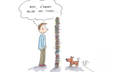 Révisions des oraux de concours : quand la pile horripile…