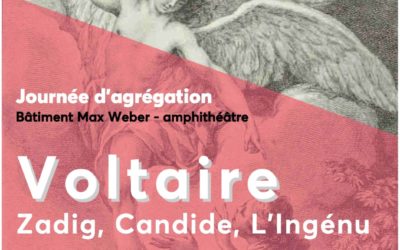 Une journée Voltaire le 10 janvier à l&rsquo;université de Nanterre