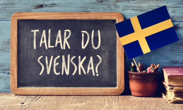 Danois, suédois, néerlandais, finnois : des langues à découvrir !