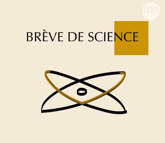 La web-série « Brève de science » est de retour !