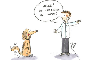 Chiens détecteurs de Covid : le virus ne peut leur échapper !