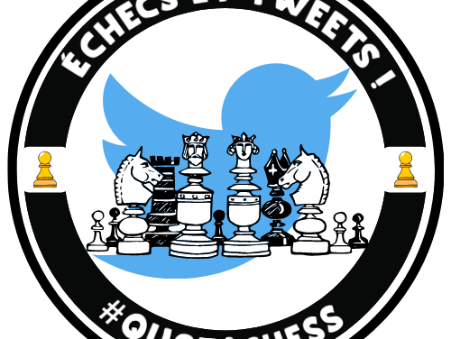 Quotichess permet de « développer des compétences scolaires autour des échecs »