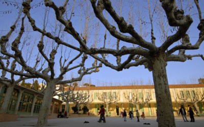 Covid-19 : la fermeture des écoles ne fait pas partie des pistes étudiées par le gouvernement