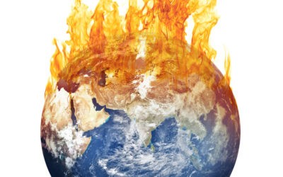 Renforcer l&rsquo;enseignement des SVT : un enjeu crucial pour les jeunes