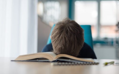 Devoirs à la maison au cours moyen : « pas plus de 30 minutes par jour »