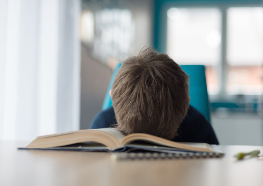 Devoirs à la maison au cours moyen : « pas plus de 30 minutes par jour »