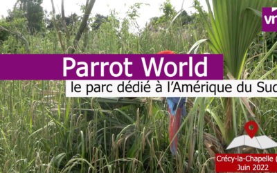 Parrot World : des ateliers scolaires au cœur de la faune d’Amérique du sud