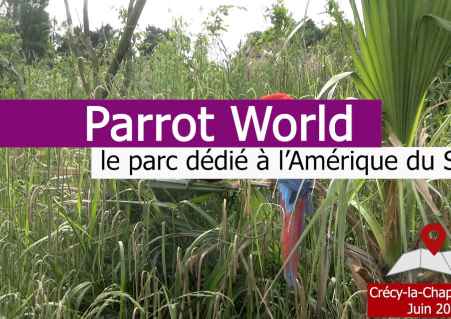 Parrot World : des ateliers scolaires au cœur de la faune d’Amérique du sud