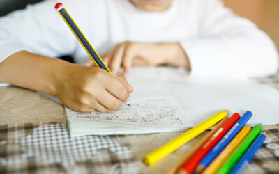 Généralisation du dispositif « Devoirs faits » : les enseignants dubitatifs après l’annonce de Pap Ndiaye