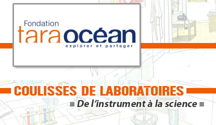 Des ressources pédagogiques pour découvrir les instruments des chercheurs marins