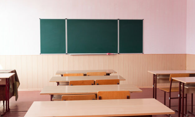Pénurie de professeurs : une députée propose d’assurer des cours d’allemand à Colmar