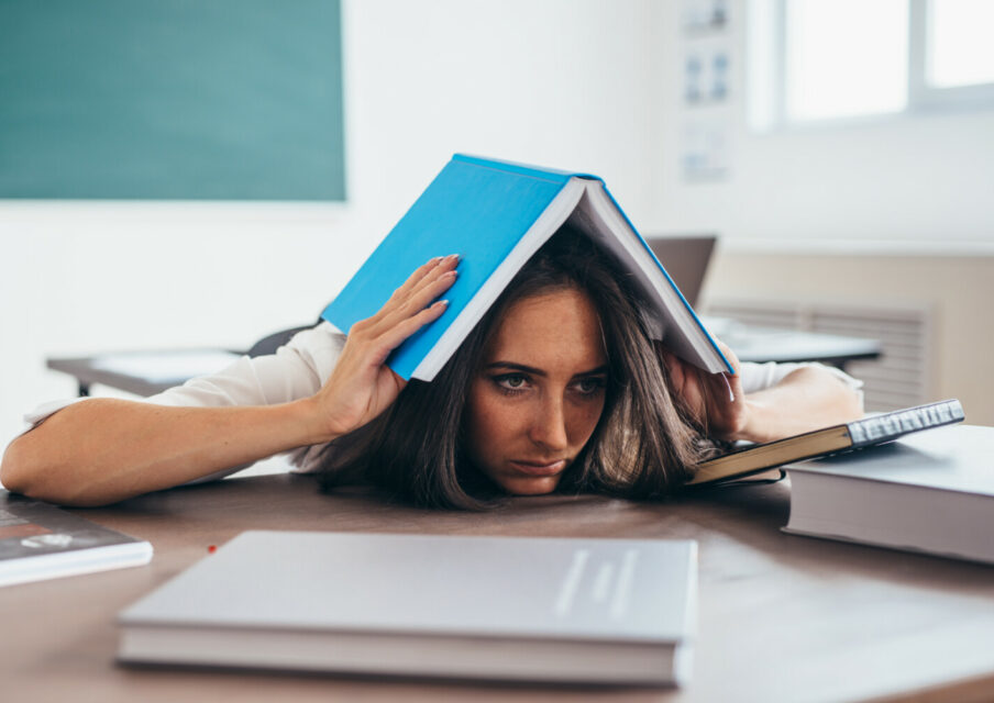 Formations pendant les vacances : « aucun professeur ne s’inscrira »